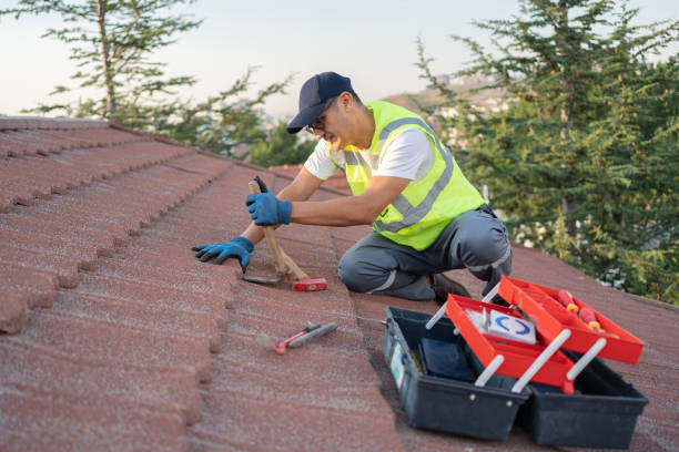 Best Local Roofing Companies  in Indian Lake, TX